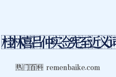 桂林喜吕仲实佥宪至近义词是什么意思的图片